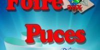 19éme Foire aux Puces de Ploumoguer
