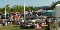 Puces Olonne Sur Mer
