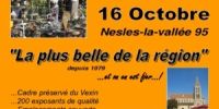 Antiquités-brocante Nesles La Vallée