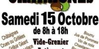 Foire aux Châtaignes - Vide-greniers Diges