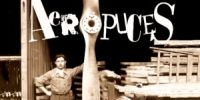 Aéropuces 2016 Le Bourget