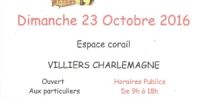 Mini Puces Spécial Enfants Villiers Charlemagne