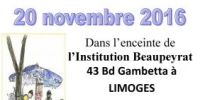 Vide Grenier Beaupeyrat Limoges