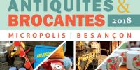 Brocante mensuelle à Micropolis