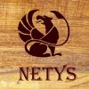 NETYS