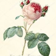 La Chine de Valentine