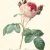 La Chine de Valentine