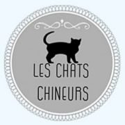 Les Chats Chineurs