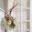 fleur_and_deco