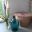 decovintage59