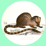 La Civette