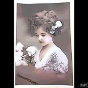 La Pivoine Rose