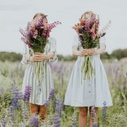 LesFrangines