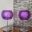 Teddy89