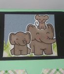 Carte éléphants