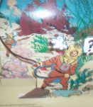 alb um pop hop tintin 