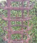 Porte bouteilles HERISSON en fer forgé, années 1920