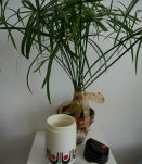 Magnifique thermos vintage