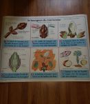 Affiche scolaire edition mdi 