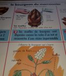 Affiche scolaire edition mdi 