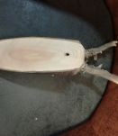 Trophée chevreuil tendence  vintage