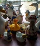 collection oies et canards