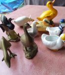 collection oies et canards