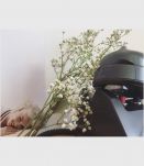 Téléphone en bakélite 