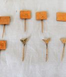 Lot d'épingles de col de chemises ,équipage stewar