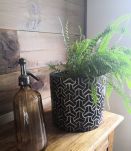 Ancien siphon Brasserie Wagner Belfort