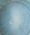 Vase céramique vintage