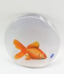 Sous-verres en silicone