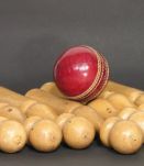 Jeu de Bowling Quilles en Bois / Balle de Cricket