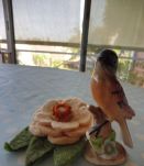 Oiseau de vitrine porcelaine