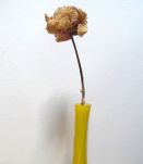 soliflor en verre double couche