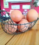 Panier à œufs grillagé 