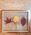 Herbier feuille d’automne 