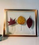 Herbier feuille d’automne 