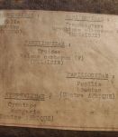 cadre rectangulaire 5 papillons naturalisés