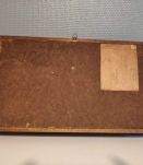 cadre rectangulaire 5 papillons naturalisés