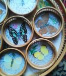 Plateau et dessous de verre - Années 60