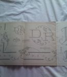 La broderie Lyonnaise 