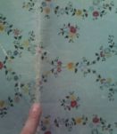 La broderie Lyonnaise 