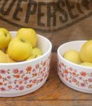 Deux saladiers Arcopal - Collection Scania - Années 70