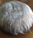 Bibi en plumes années 30