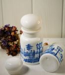 Lot Pot d'Apothicaire Vintage