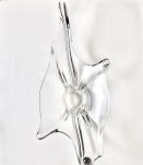 Coupe en verre
