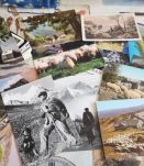 LOT 170 CPM theme BEGERS &amp; MOUTONS période 1950 à 1980  