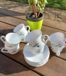 Ensemble de 4 tasses café et soucoupes, Veronica myosotis