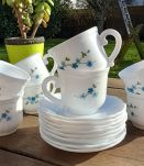 Ensemble de 4 tasses café et soucoupes, Veronica myosotis